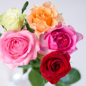 バラ　旬の薔薇切り花と花束ギフト